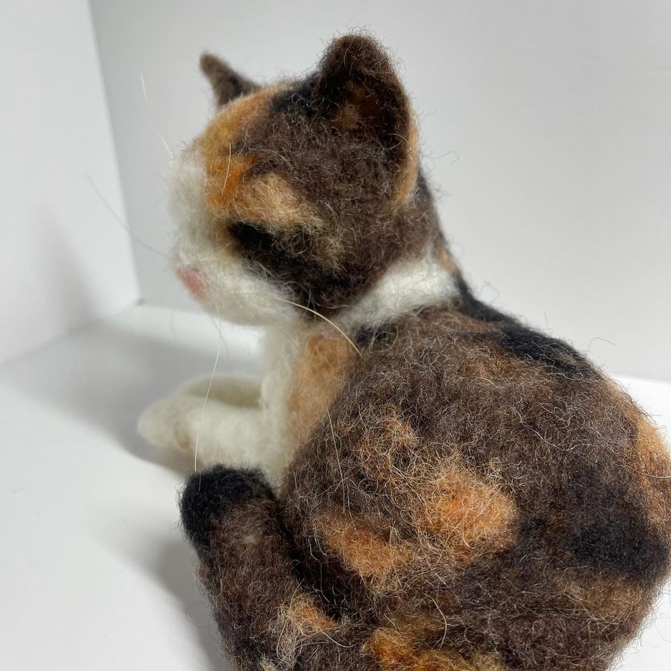 3D Pet Portrait of a tortoise cat