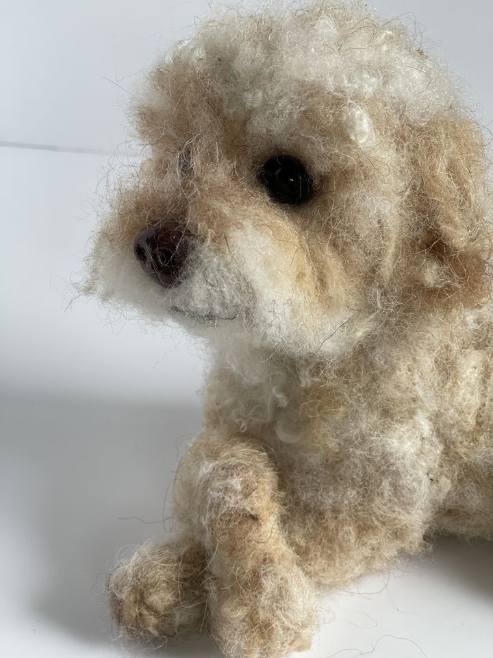 3D Pet Portrait of a cream dog in felt