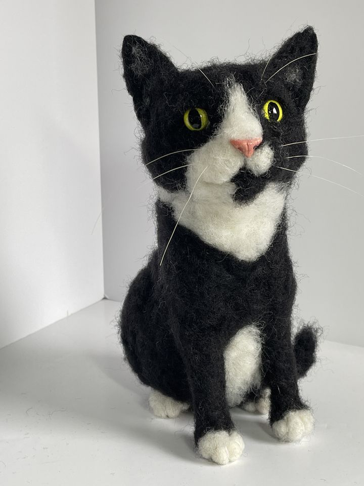 3D Pet Portrait of a black and white cat