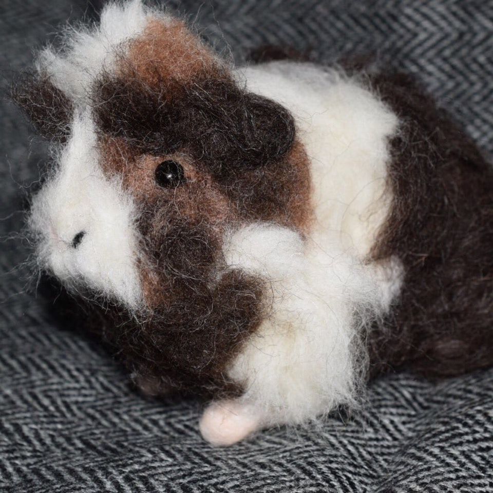 3D Pet Portrait of a guinea pig in felt