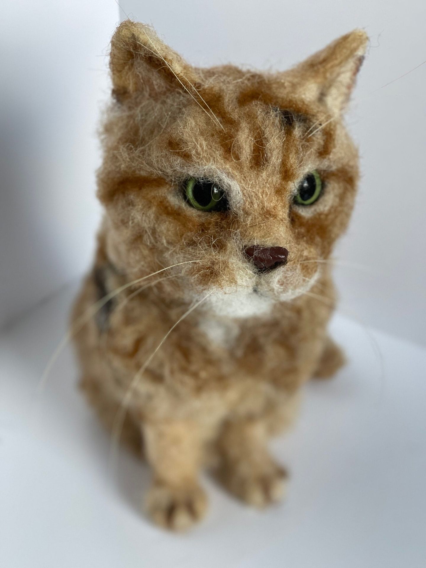 3D Pet Portrait of a ginger cat