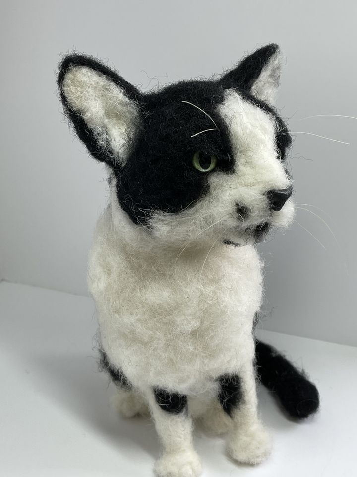 3D Pet Portrait of a black and white cat