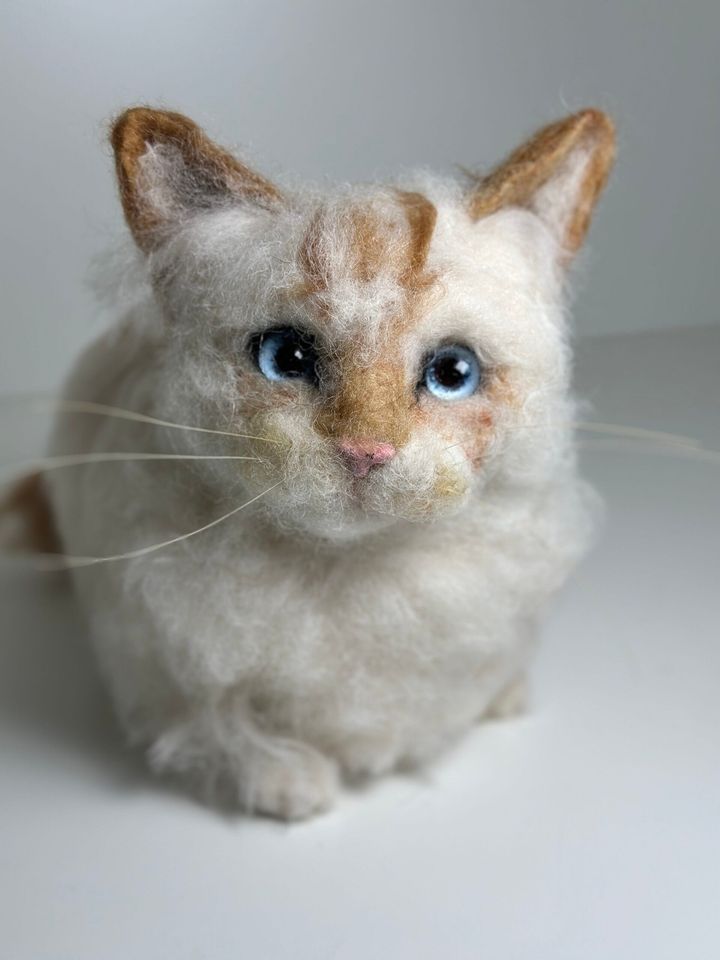 3D Pet Portrait of a ginger and white cat with blue eyes