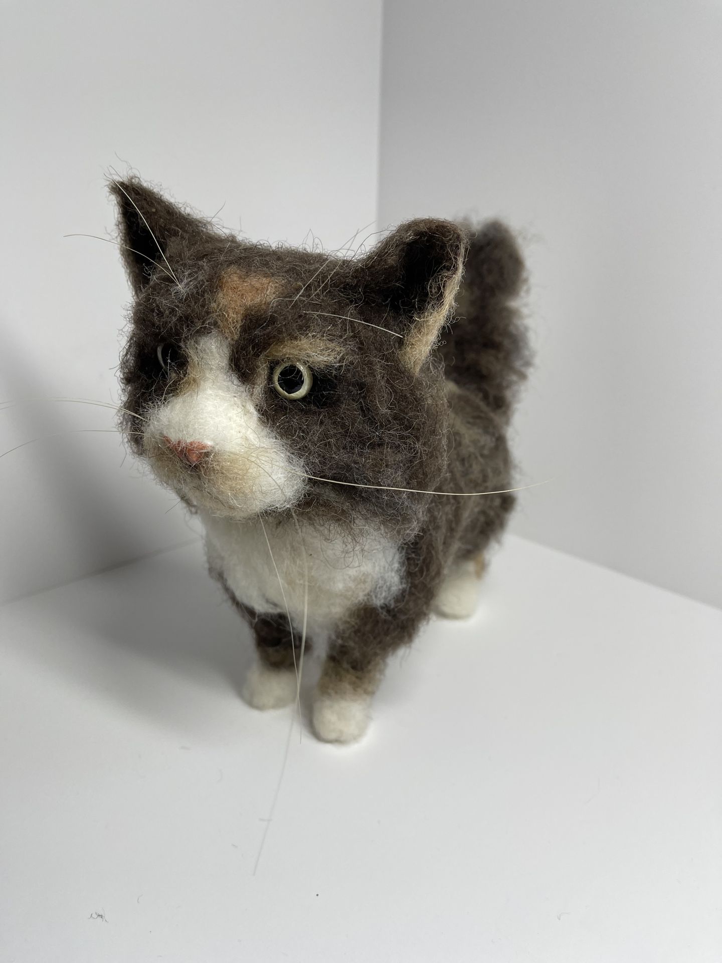 3D Pet Portrait of a cat in felt