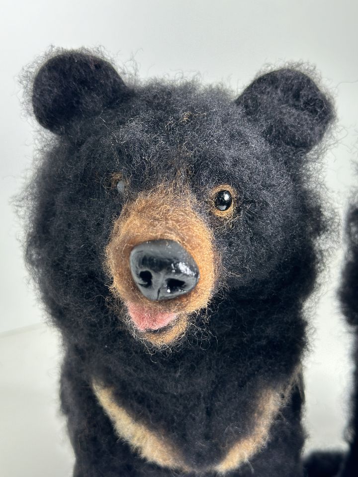 3D Pet Portrait of a bear in felt