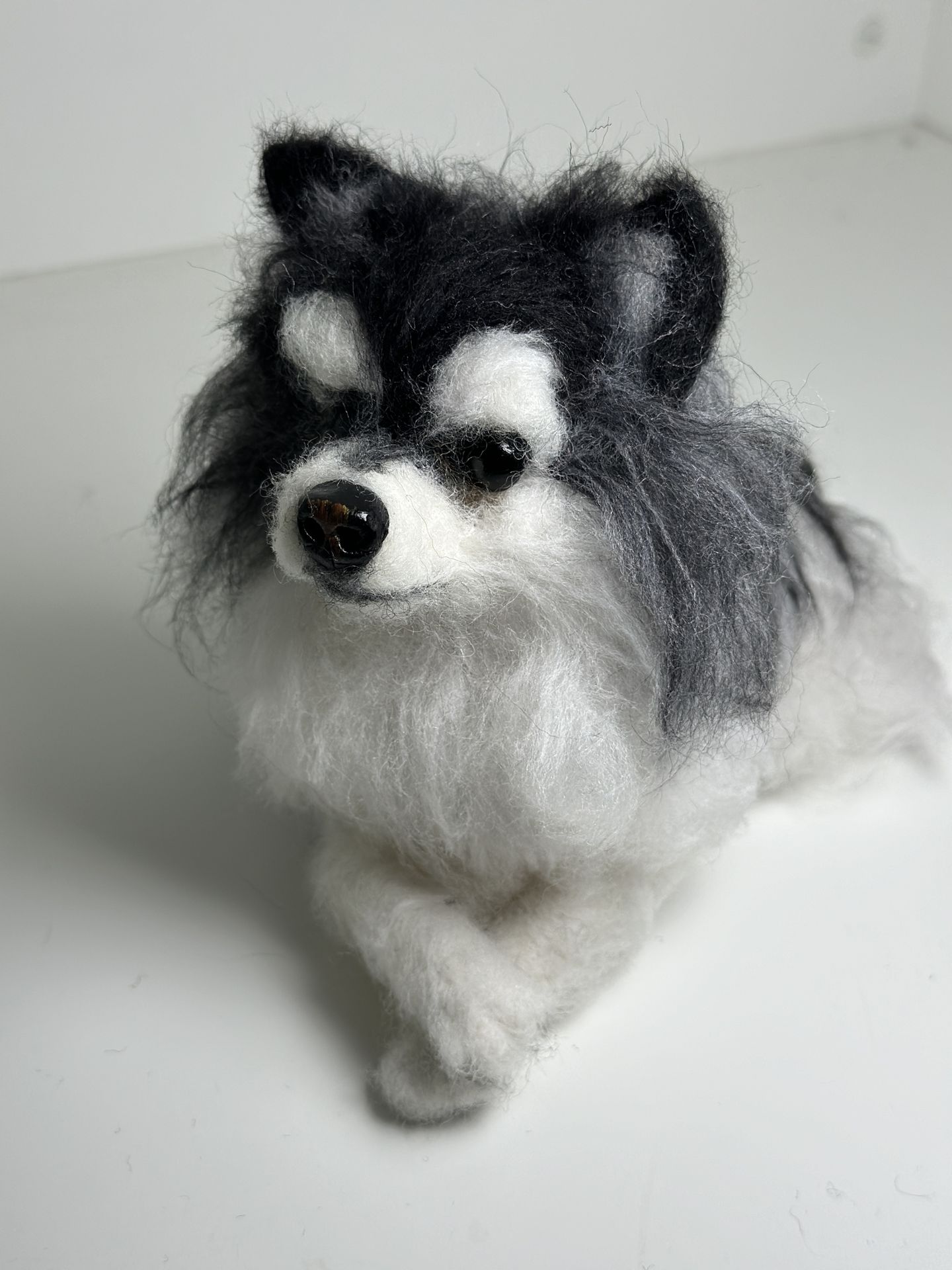 3D Pet Portrait of a dog in felt