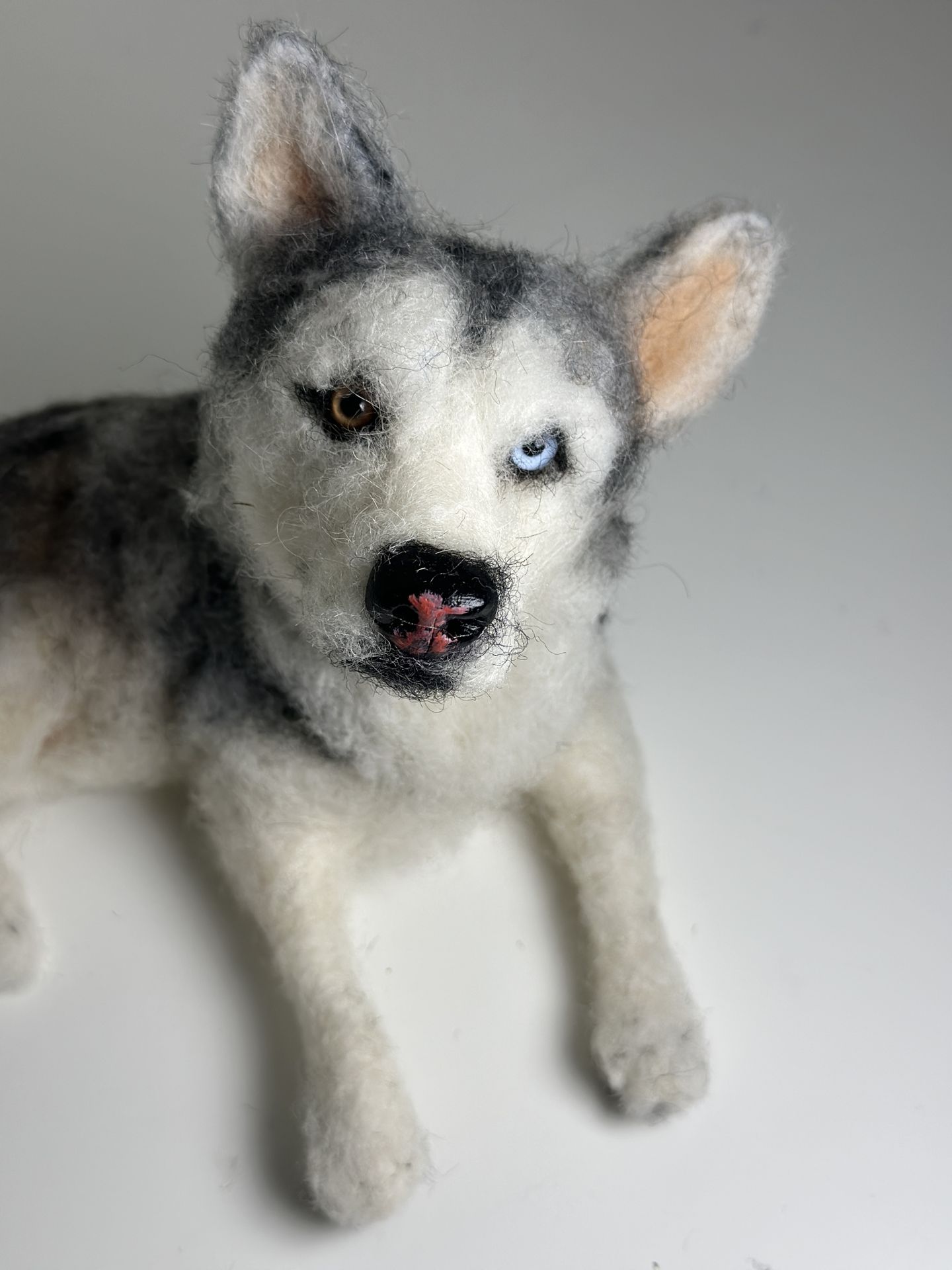 3D Pet Portrait of a grey dog in felt