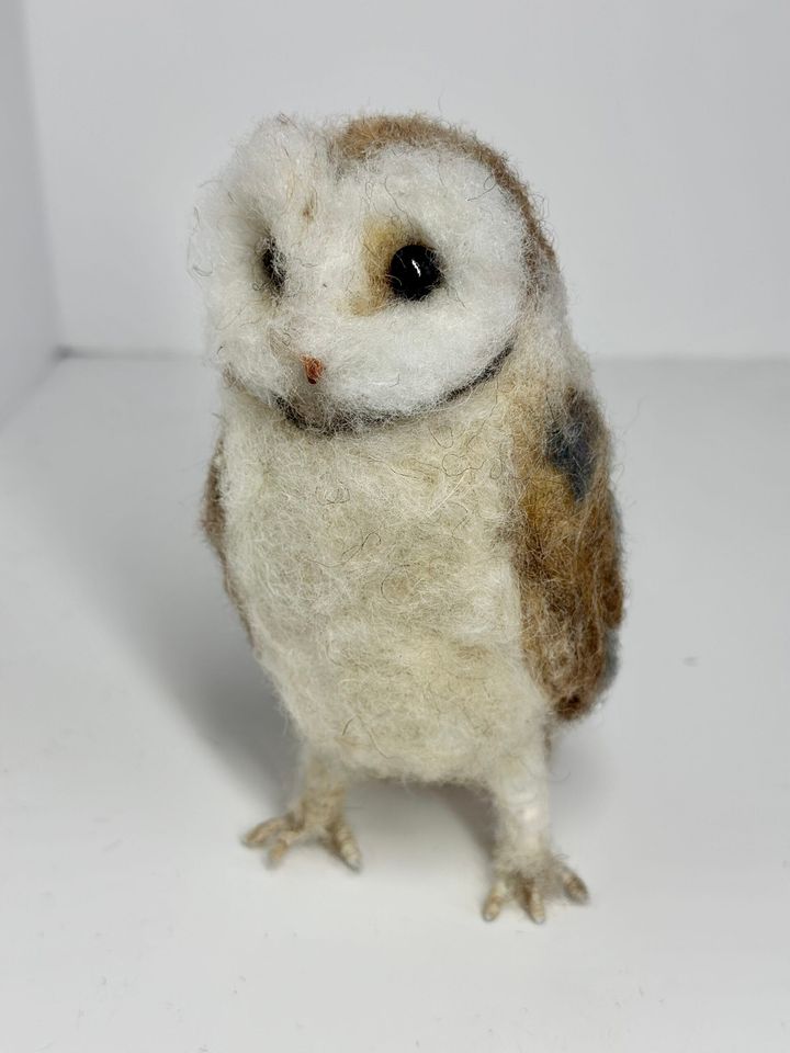3D Pet Portrait of an owl in felt