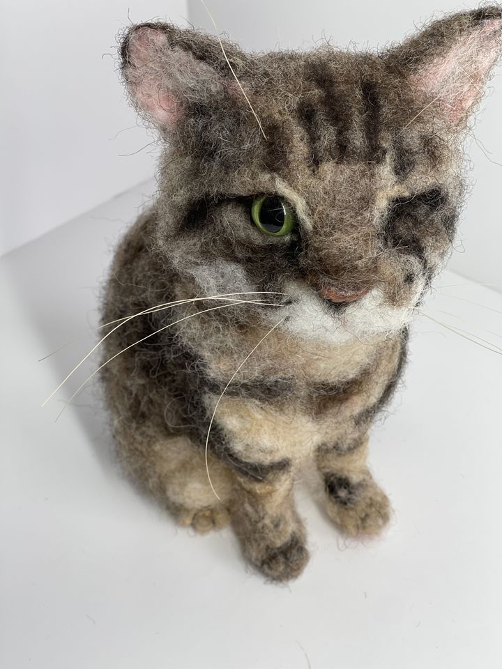 3D Pet Portrait of a tabby cat with one eye