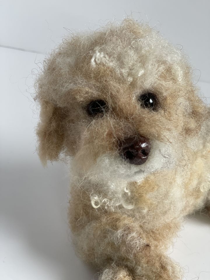 3D Pet Portrait of a white dog in felt