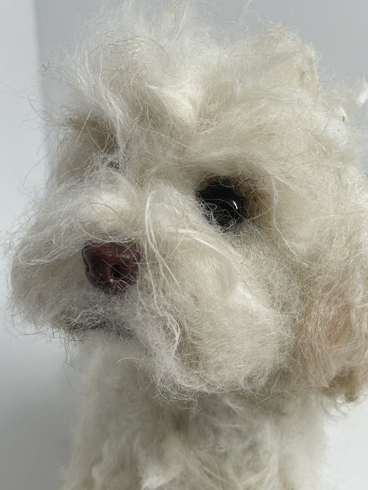 3D Pet Portrait of a white dog in felt