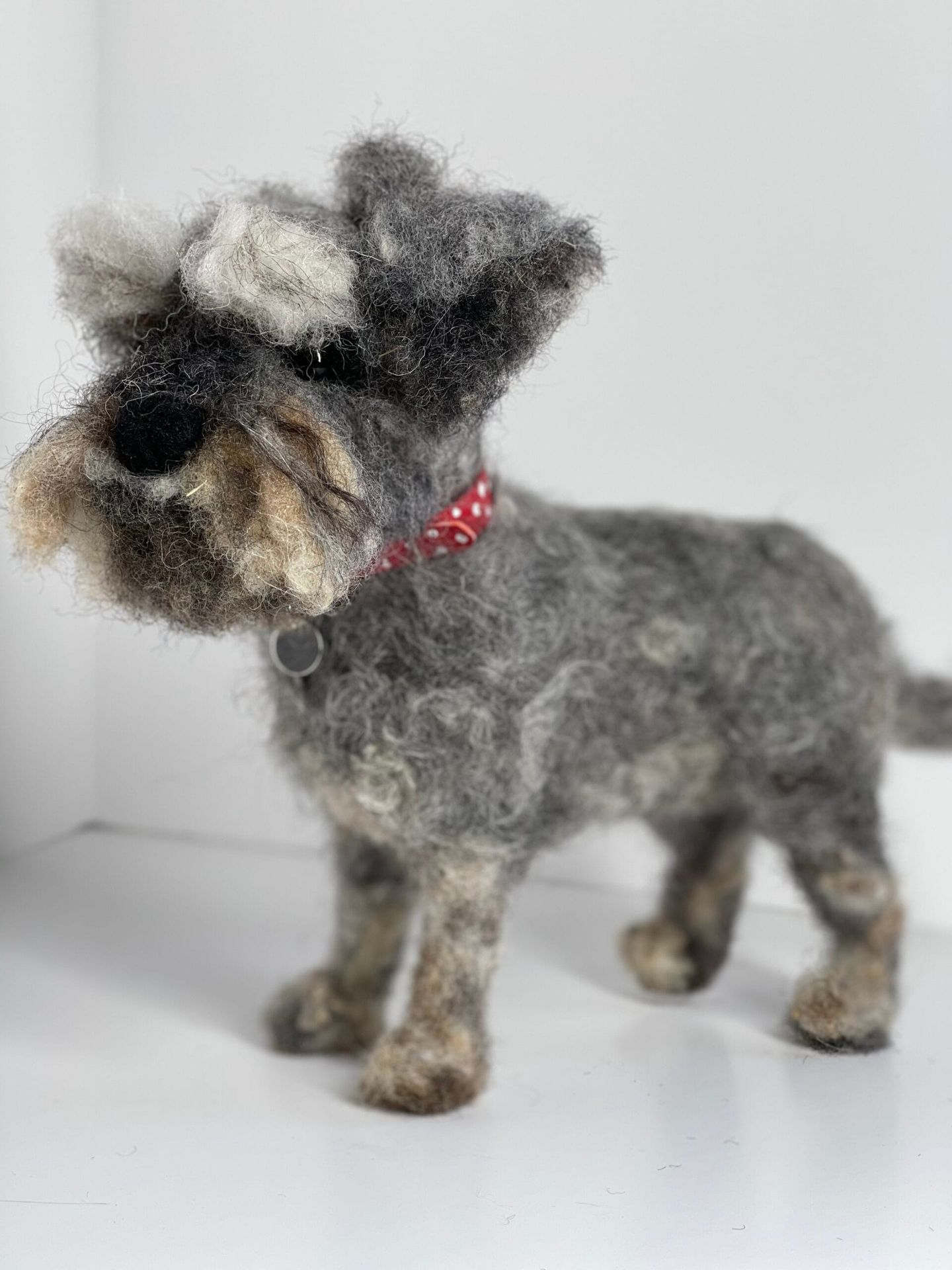 3D Pet Portrait of a miniature schnauzer dog in felt